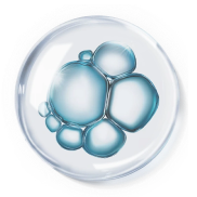 生命银行：细胞存储服务