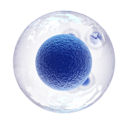 干细胞制备及临床应用